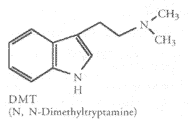 Dimethyltryptamine