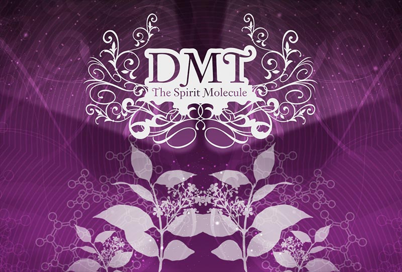 Media : DMT The Spirit Molecule
